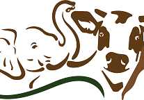 KASIGAU LOGO WITHOUT NAME