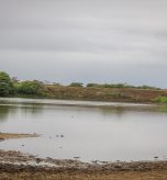 Water_Conservation_Taita_Taveta_Conservation