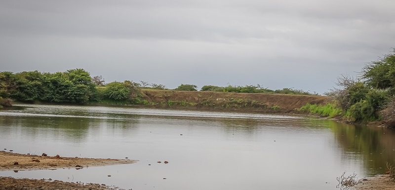 Water_Conservation_Taita_Taveta_Conservation