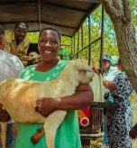 JOKIMA_CBO_Goat_Initiative_Kasigau_Conservancy