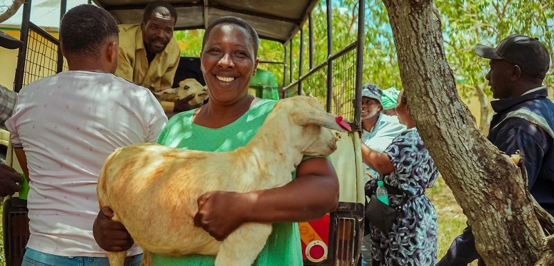 JOKIMA_CBO_Goat_Initiative_Kasigau_Conservancy