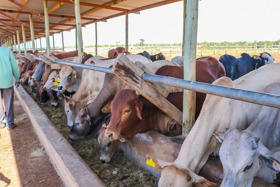 Sustainable_Ranching_Taita_Taveta