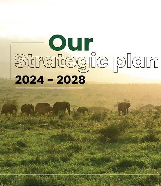 TTWCA-strategic-plan-latest