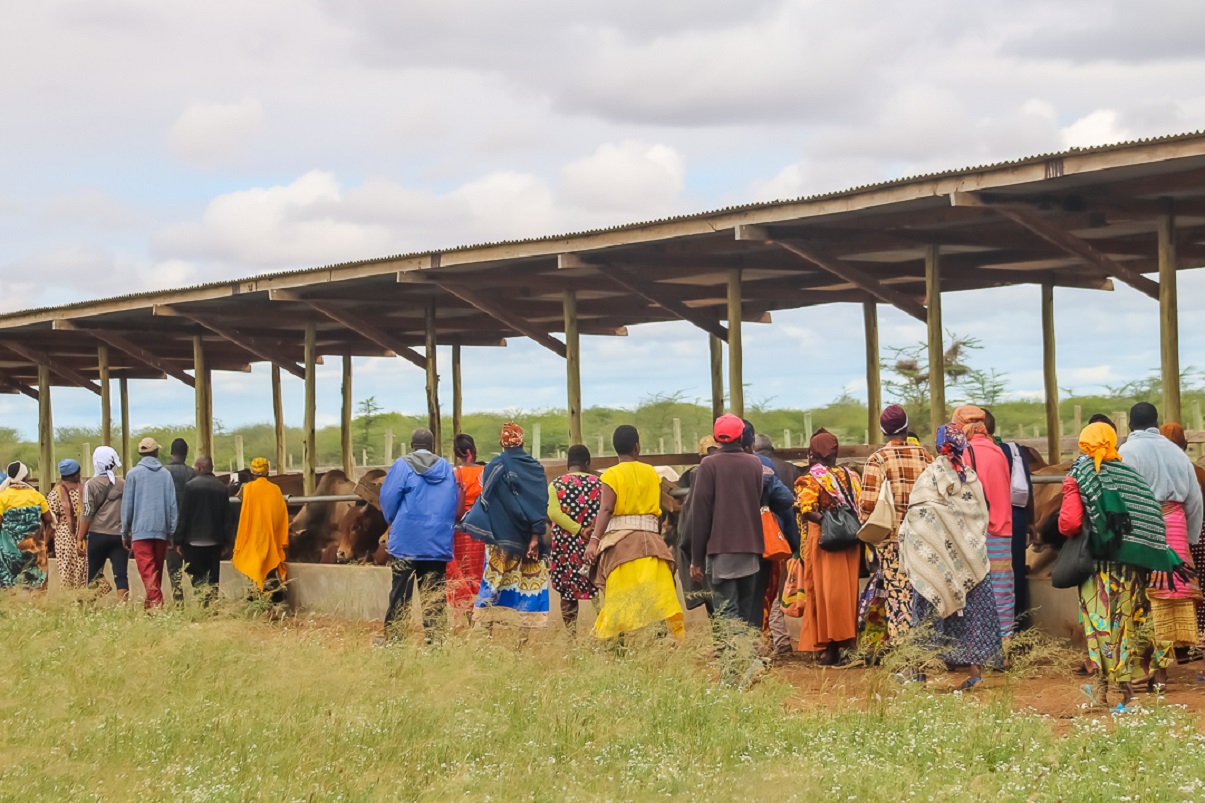 study_visit_kasigau_conservancy_research_programme